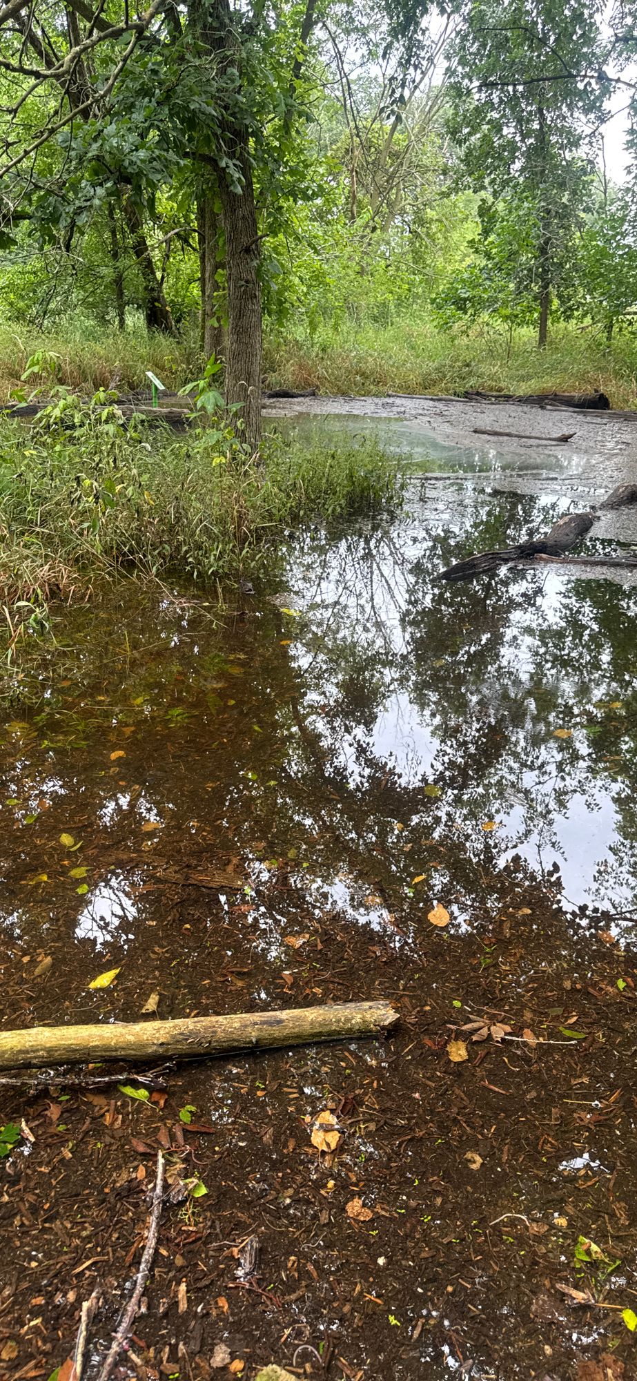 Deep standing water