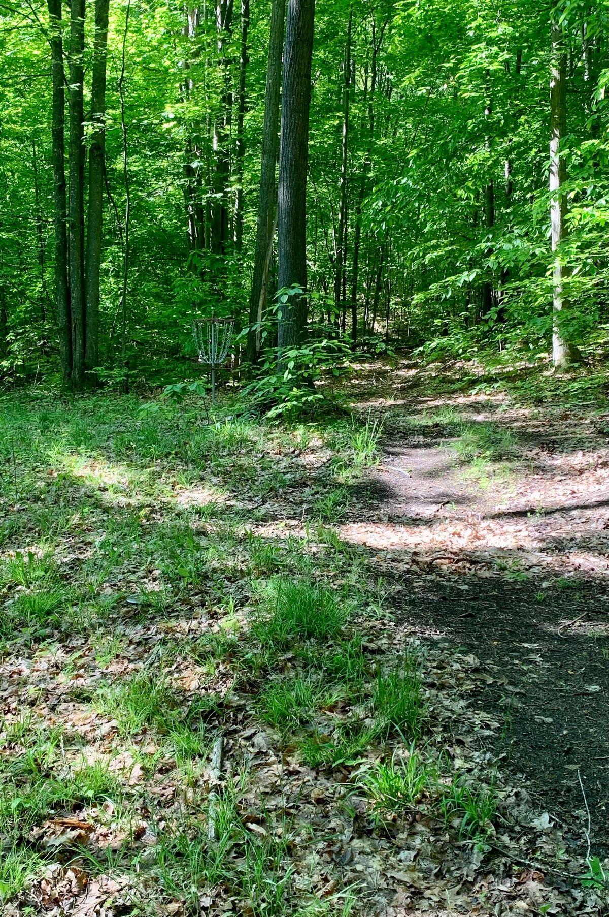 Hole 3