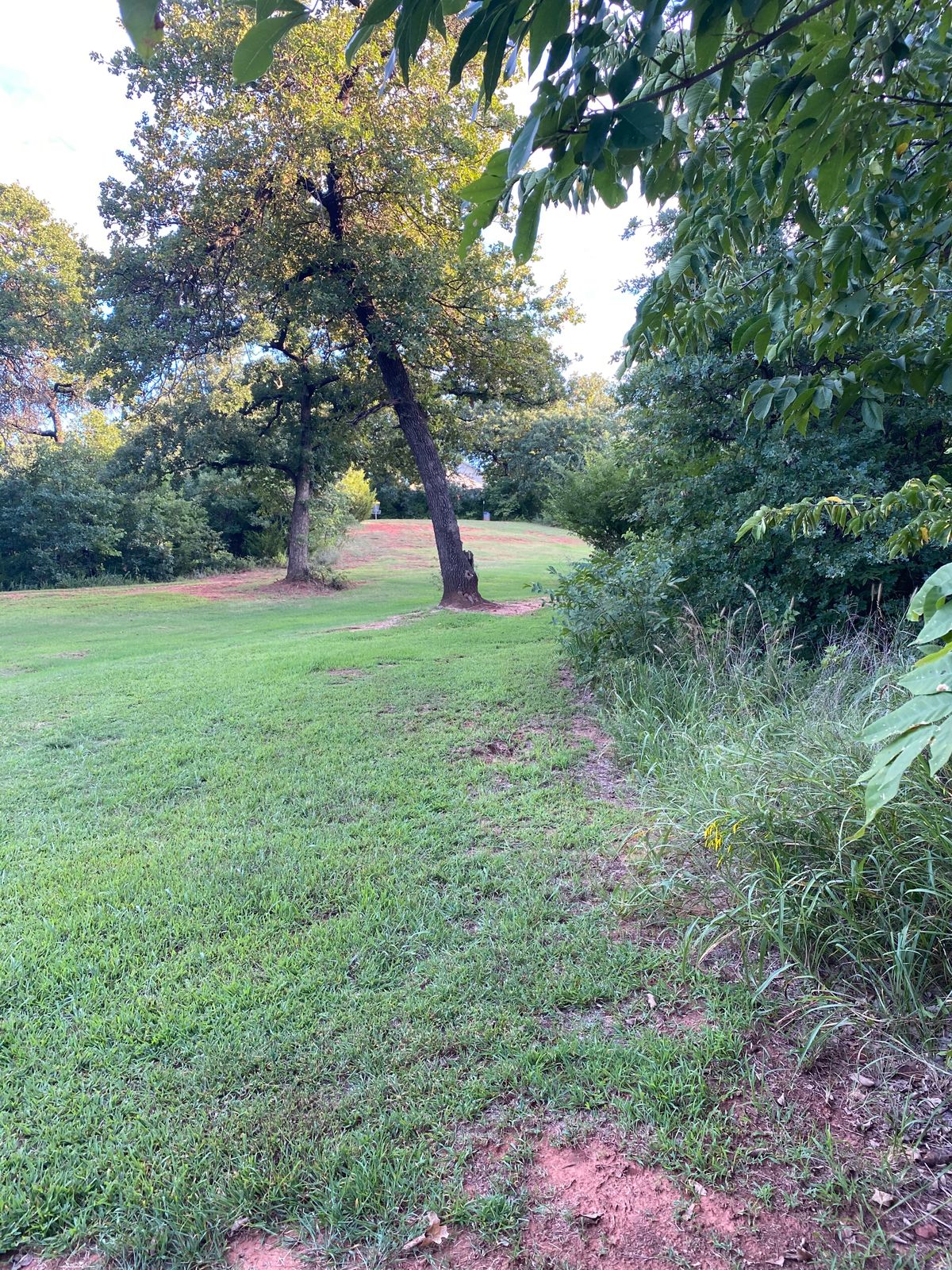 Fun uphill throw needs to avoid that dastardly tree in the middle of the fairway.