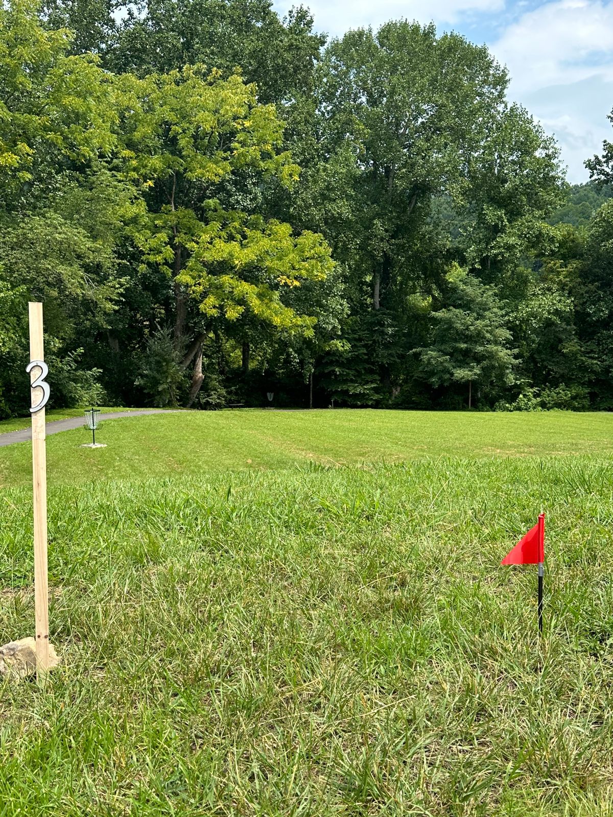 Far basket near the tree line