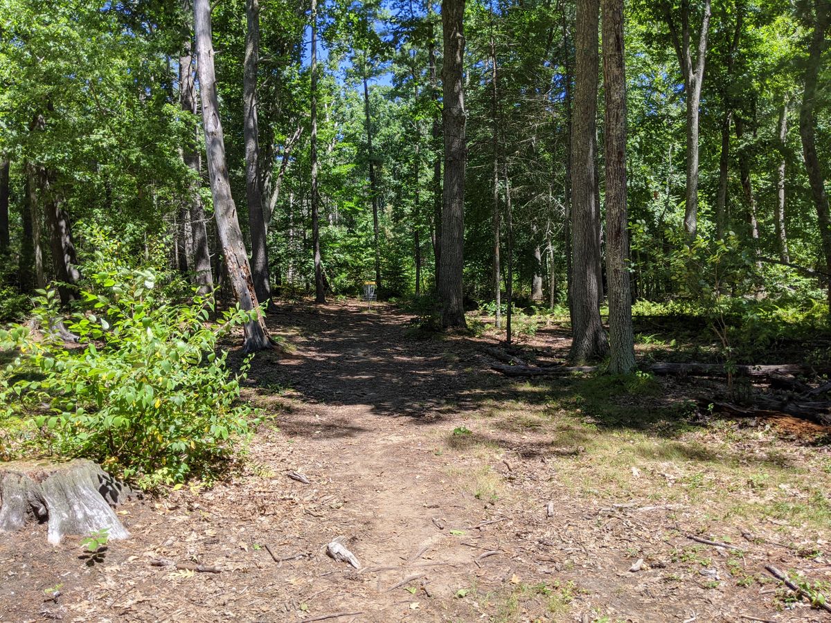 Hole 8