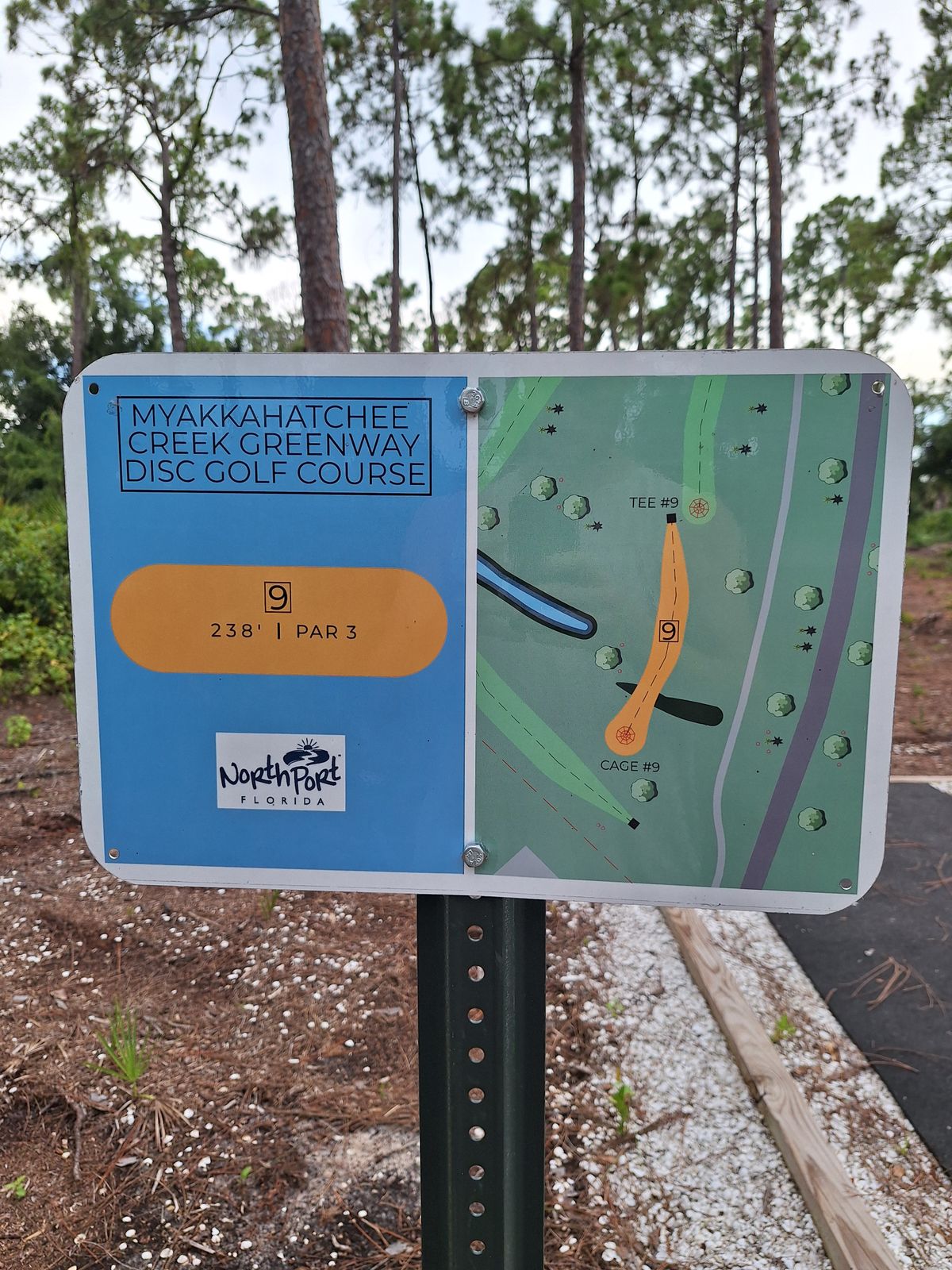 Hole 9