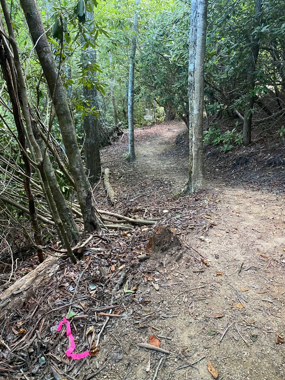 Tee 12