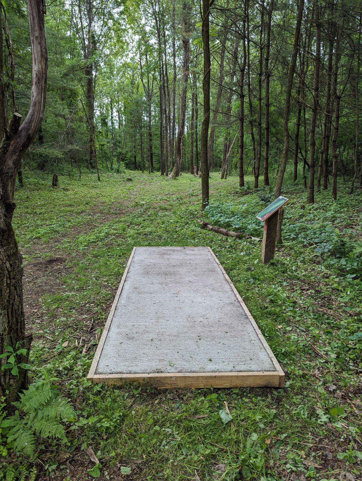 #3 Red tee pad