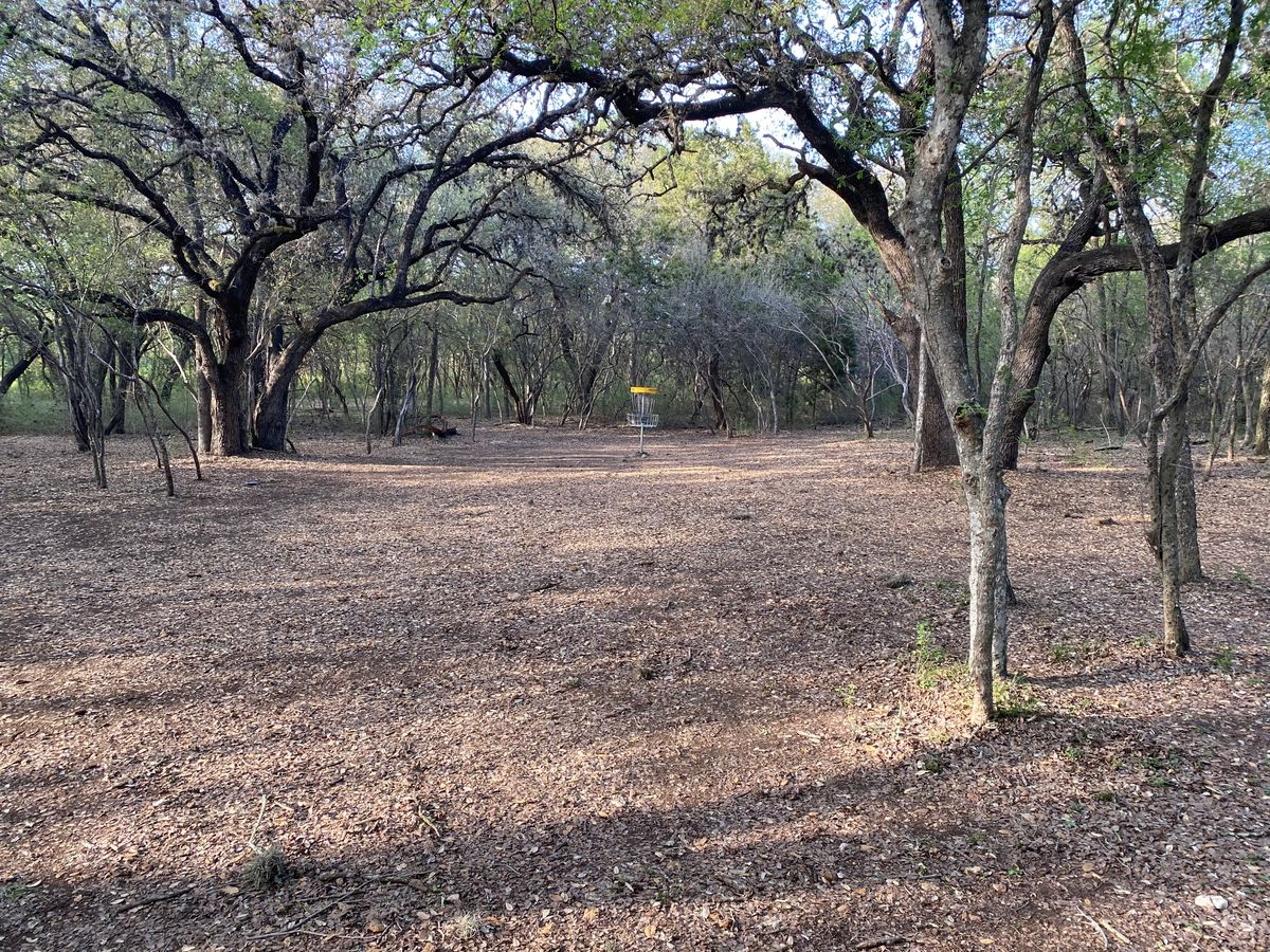 Lots of “hidden in the foliage shots. Baskets play in unforgiving trees.