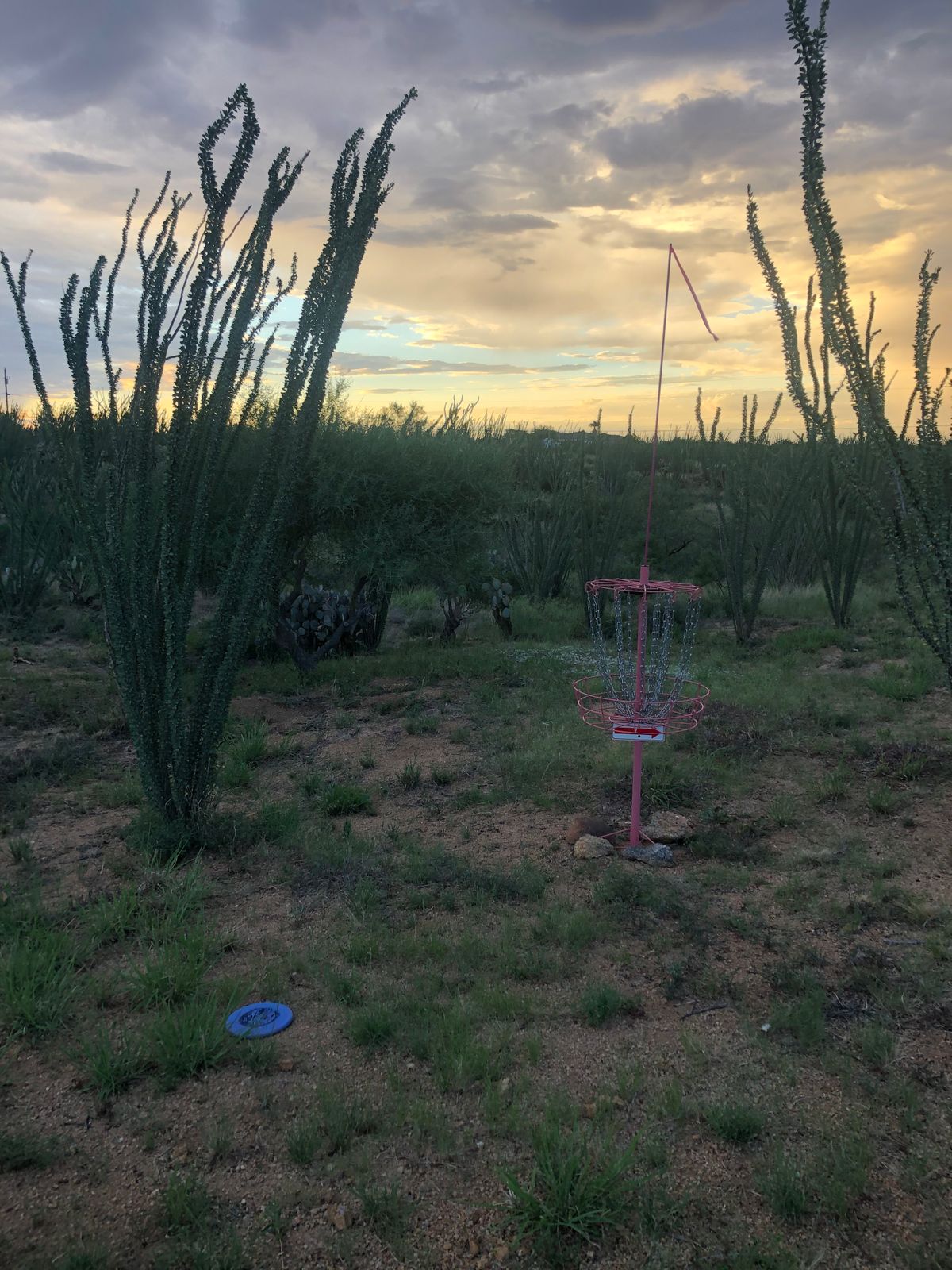 Hole 2 @ sunset