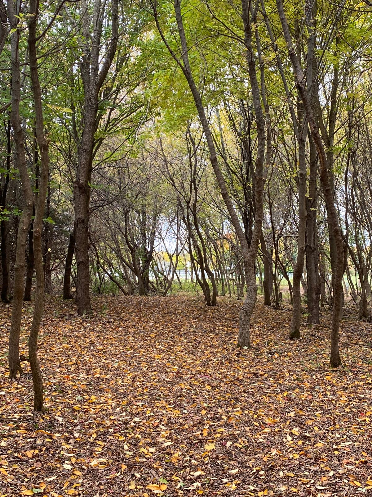 Hole 9 fairway