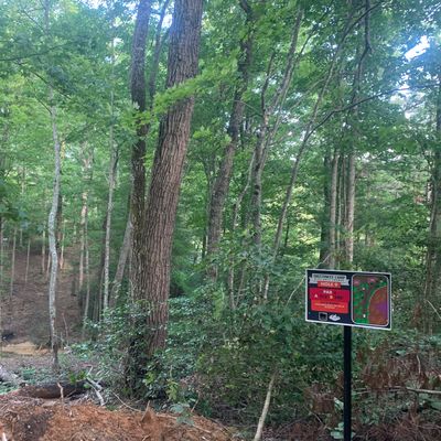 Hole 9