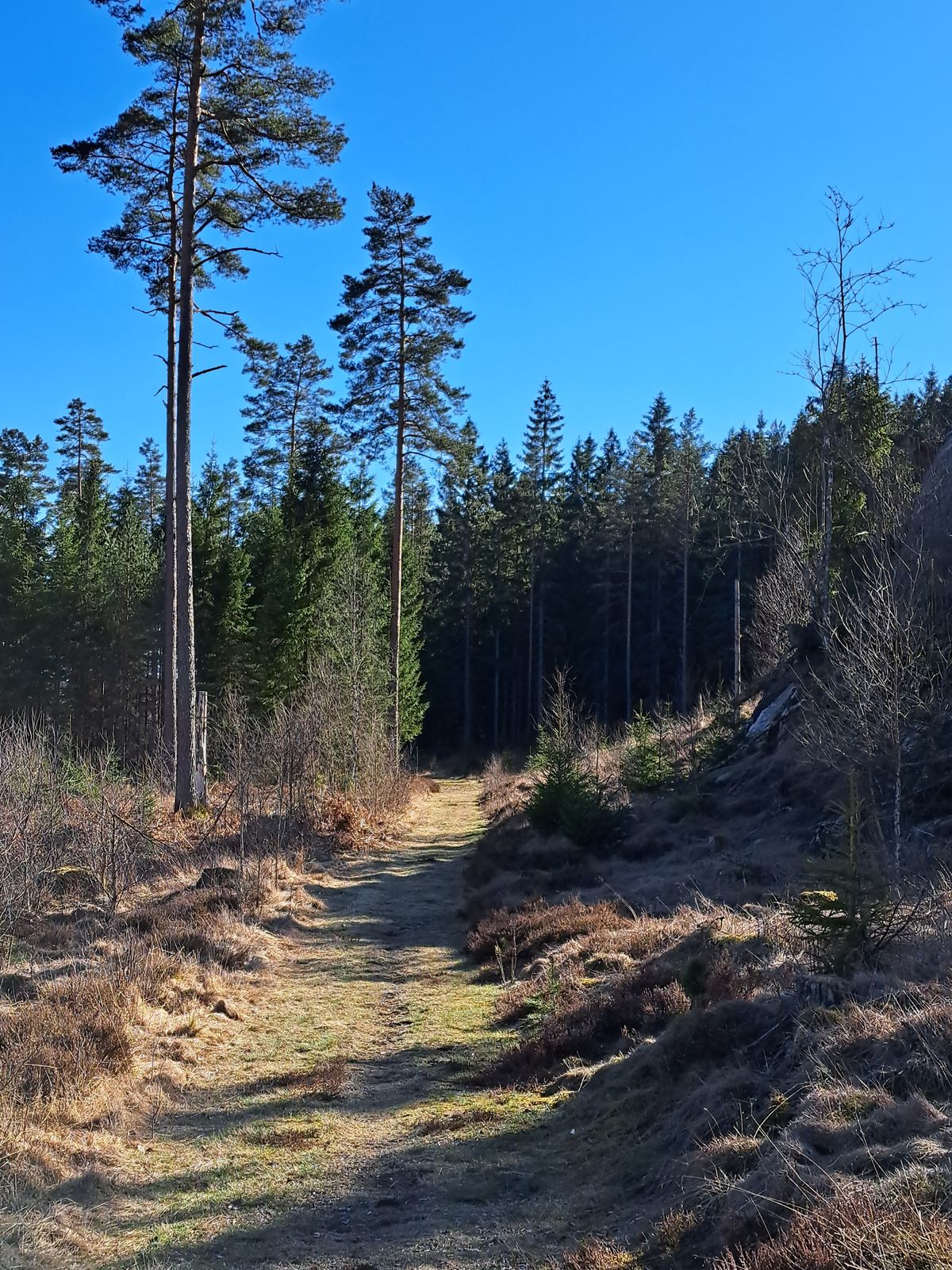 Fin natur