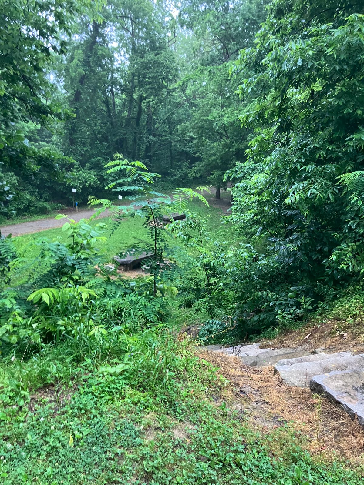 Top of the elevated fairway lookin at hole 4 tee area.