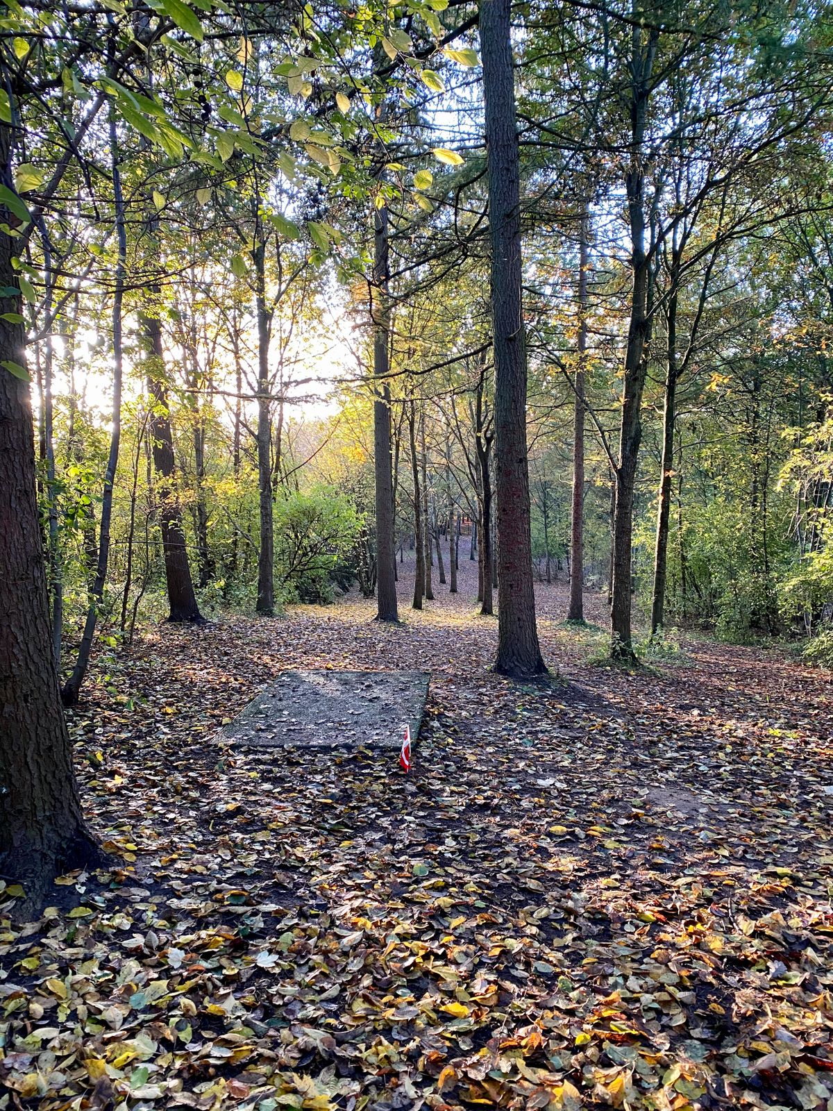 Hole 17