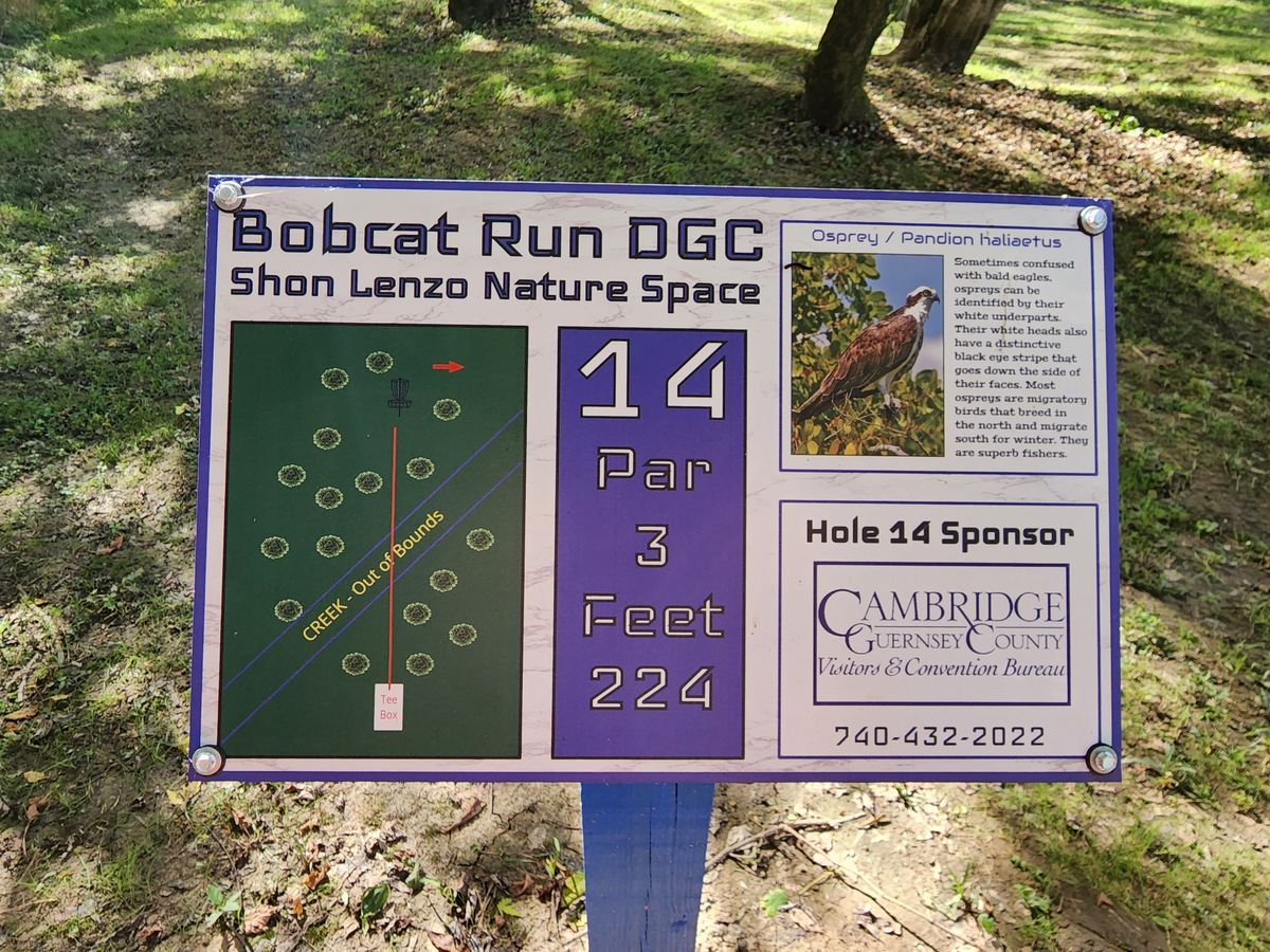 No. 14 tee