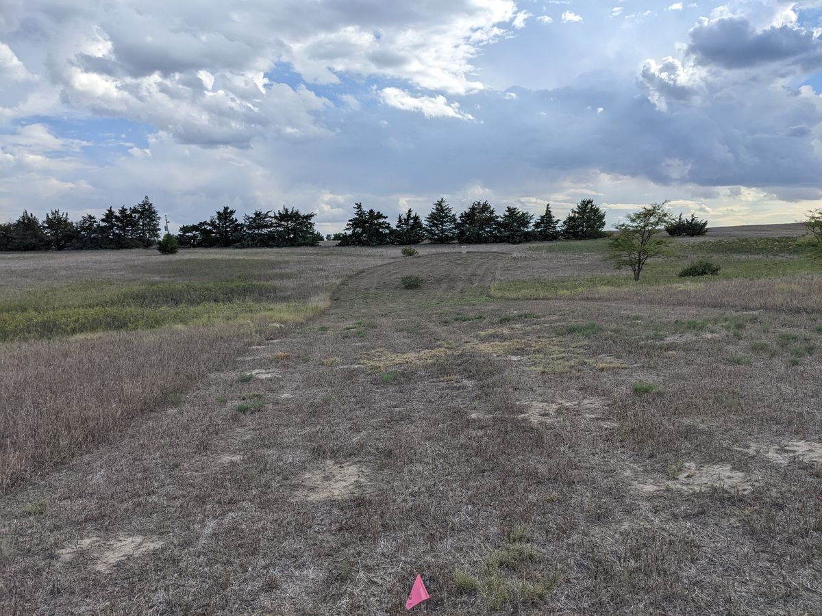 Hole 1 fairway