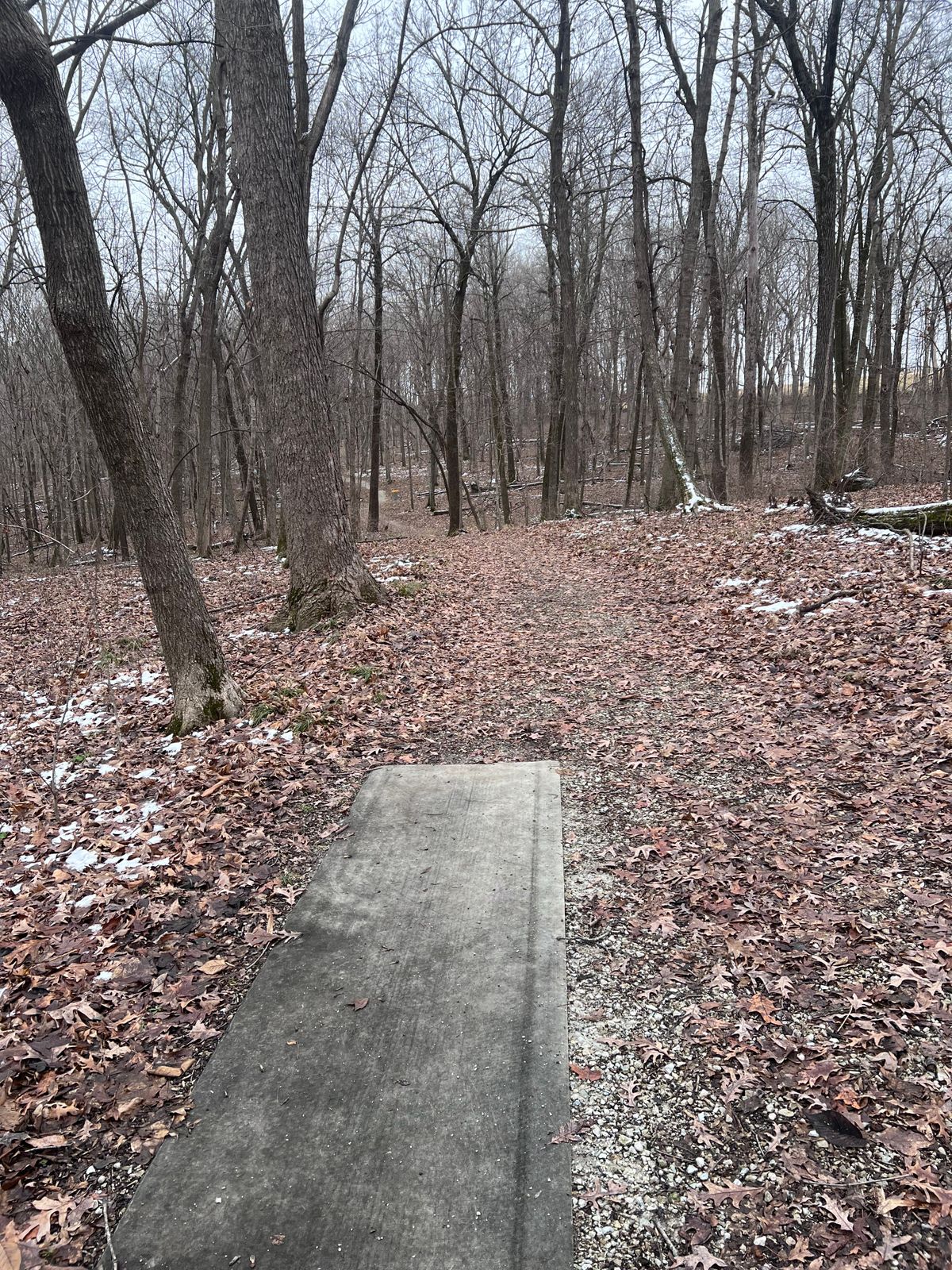 Hole 11