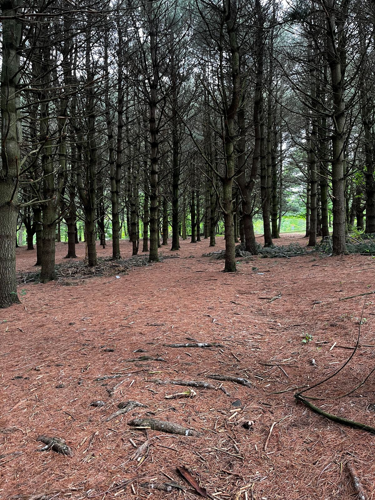 Hole 16 main landing zone
