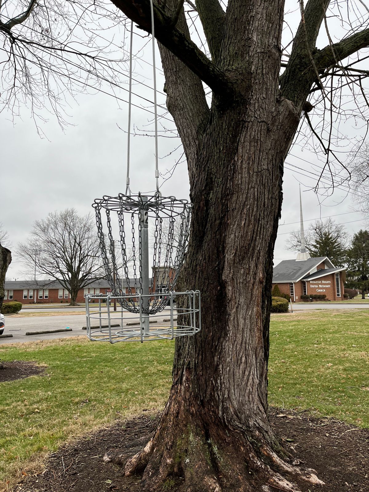 Hole 15 hanging basket