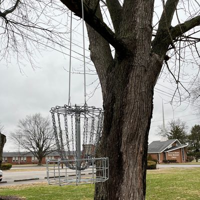 Hole 15 hanging basket