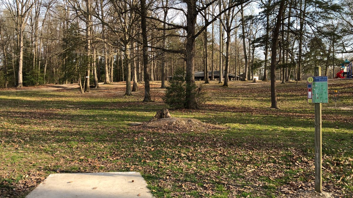 Hole 11 White Tee Winter