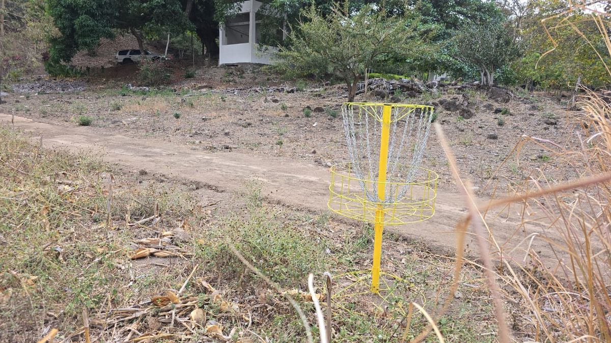 Para disfrutarlo como aficionado desde la zona social