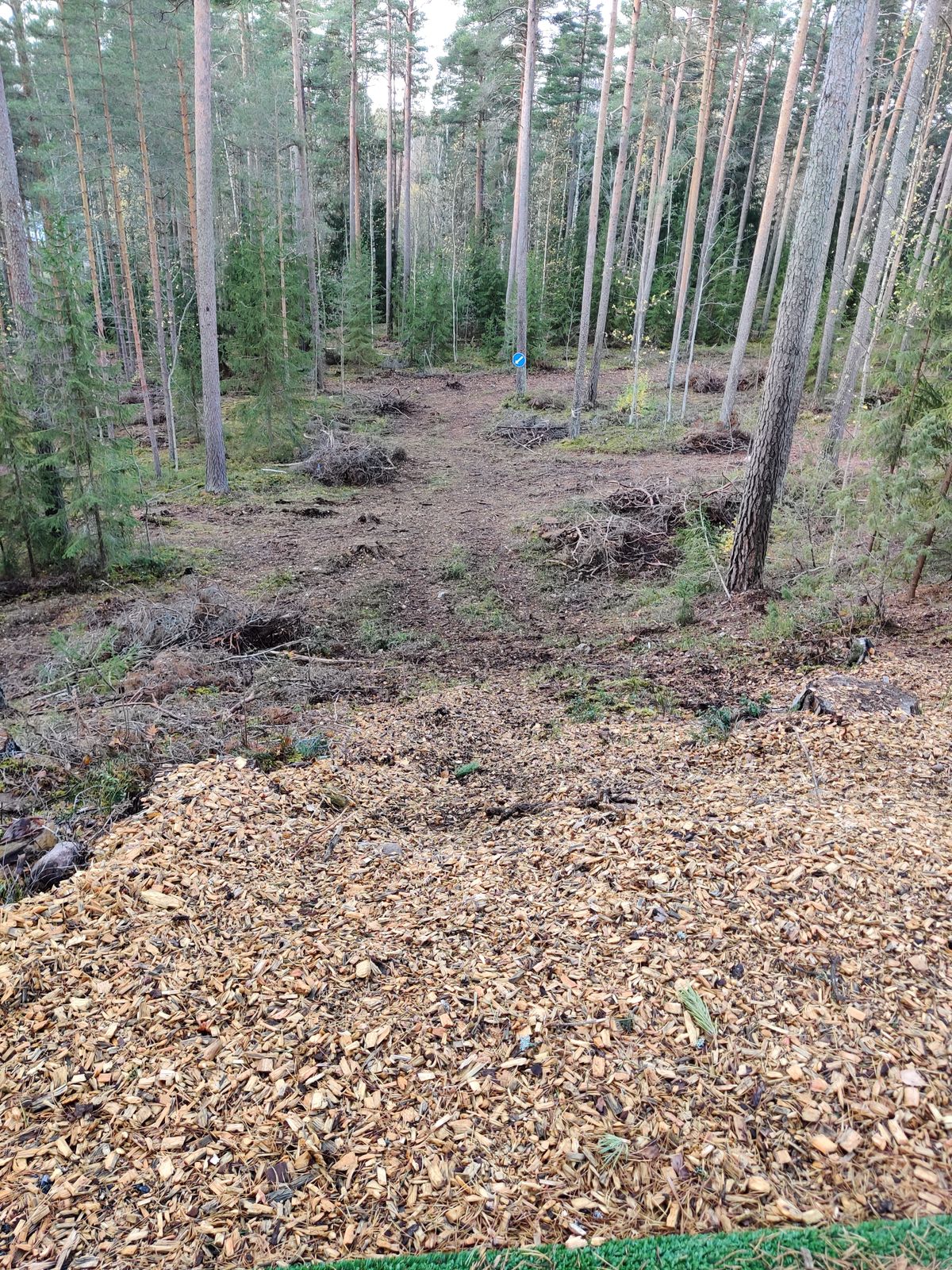 Väylä 8