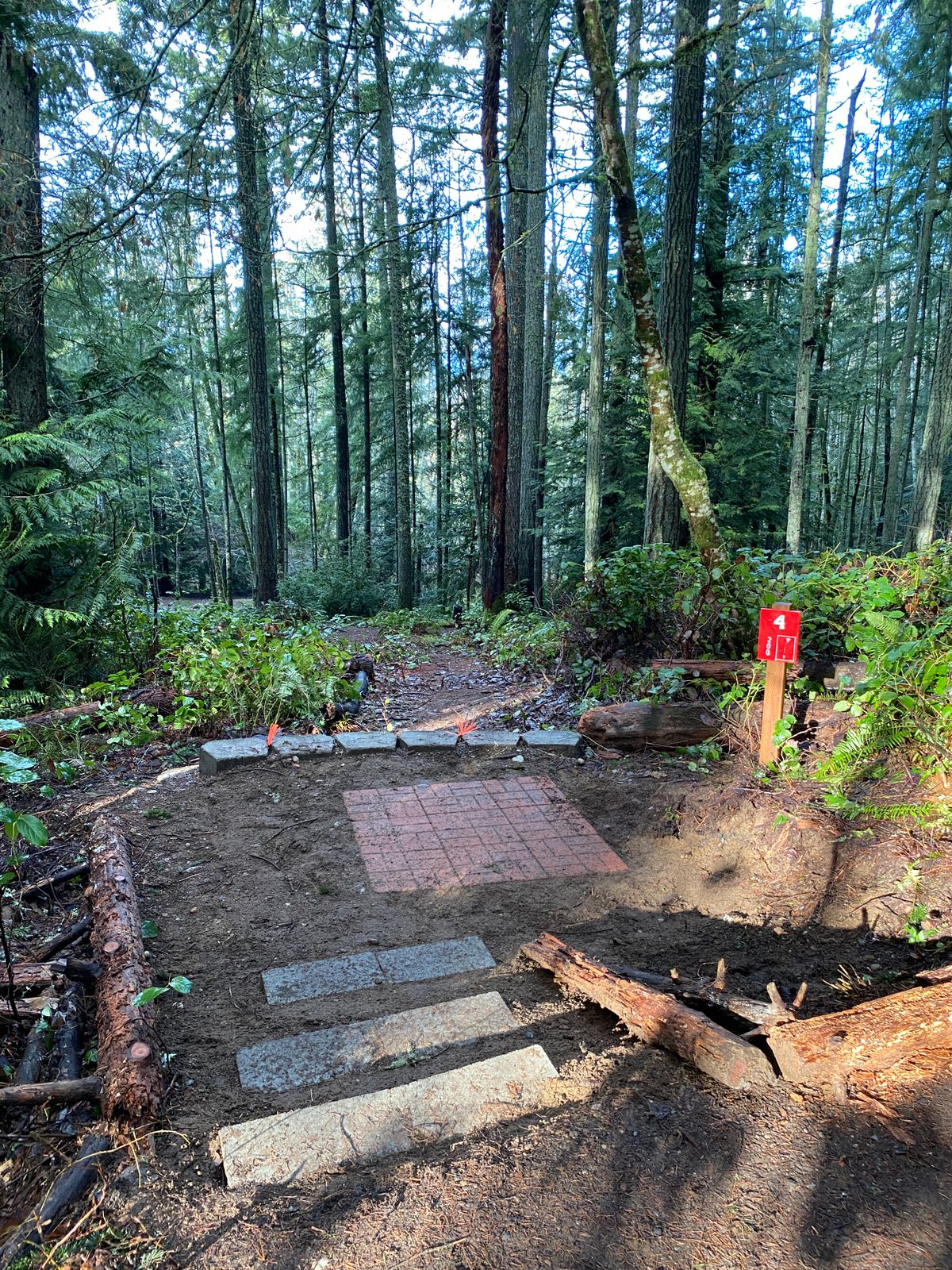 Hole 4 - Red Tee