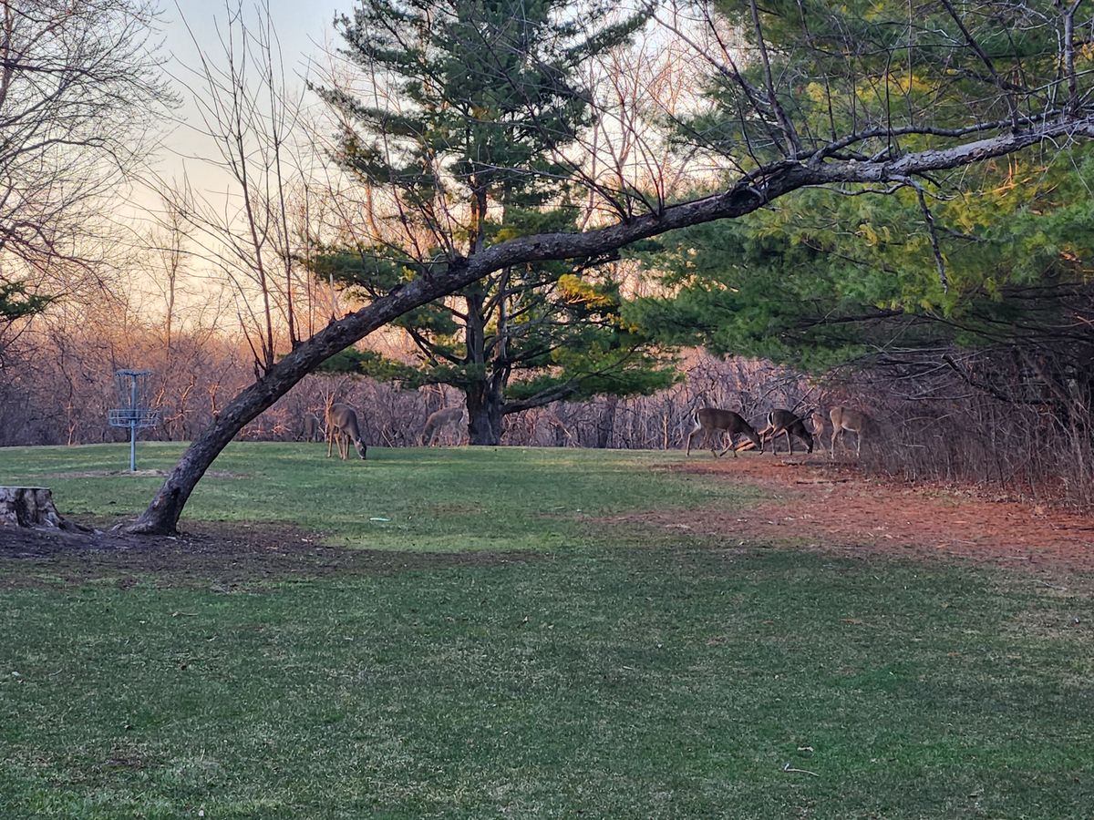 Hole #4