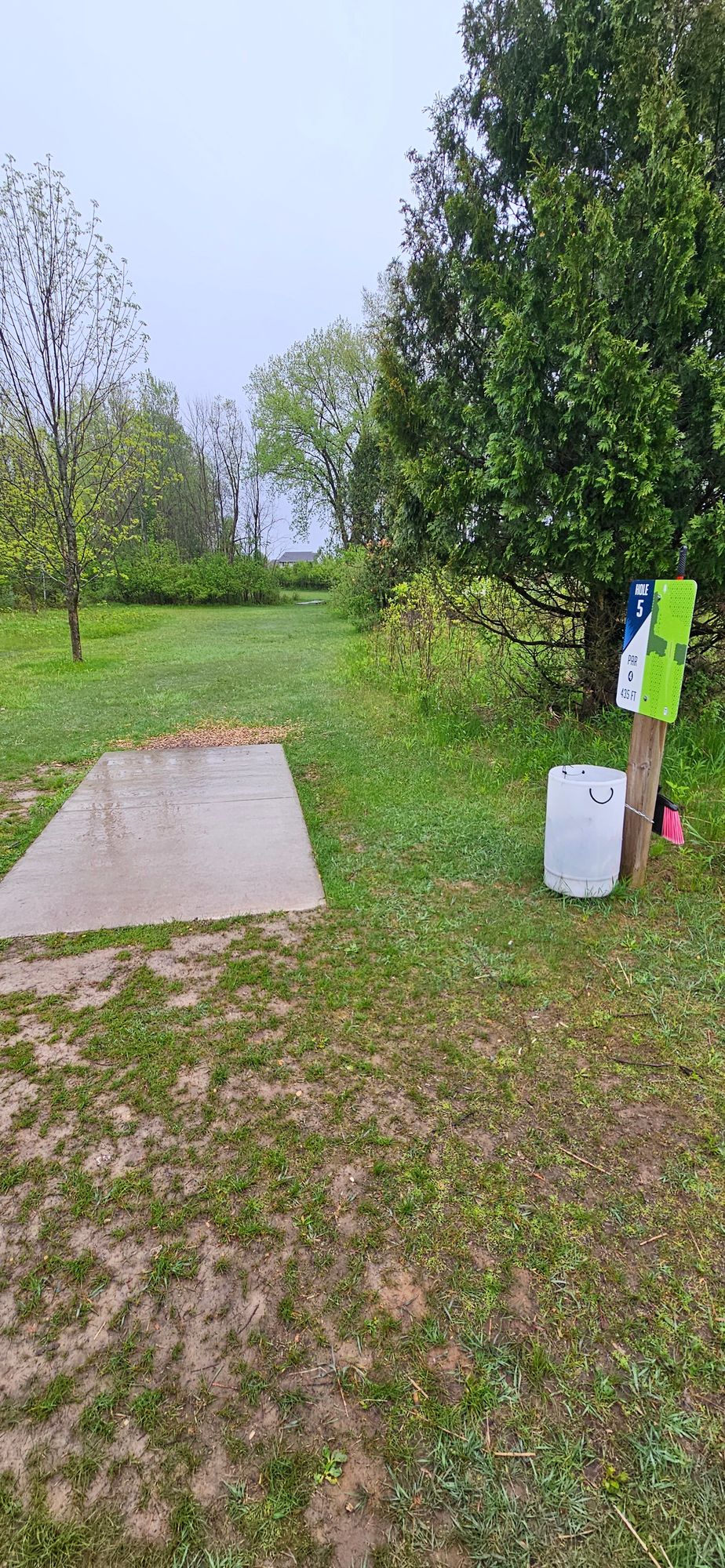Hole 5, looking down the fairway