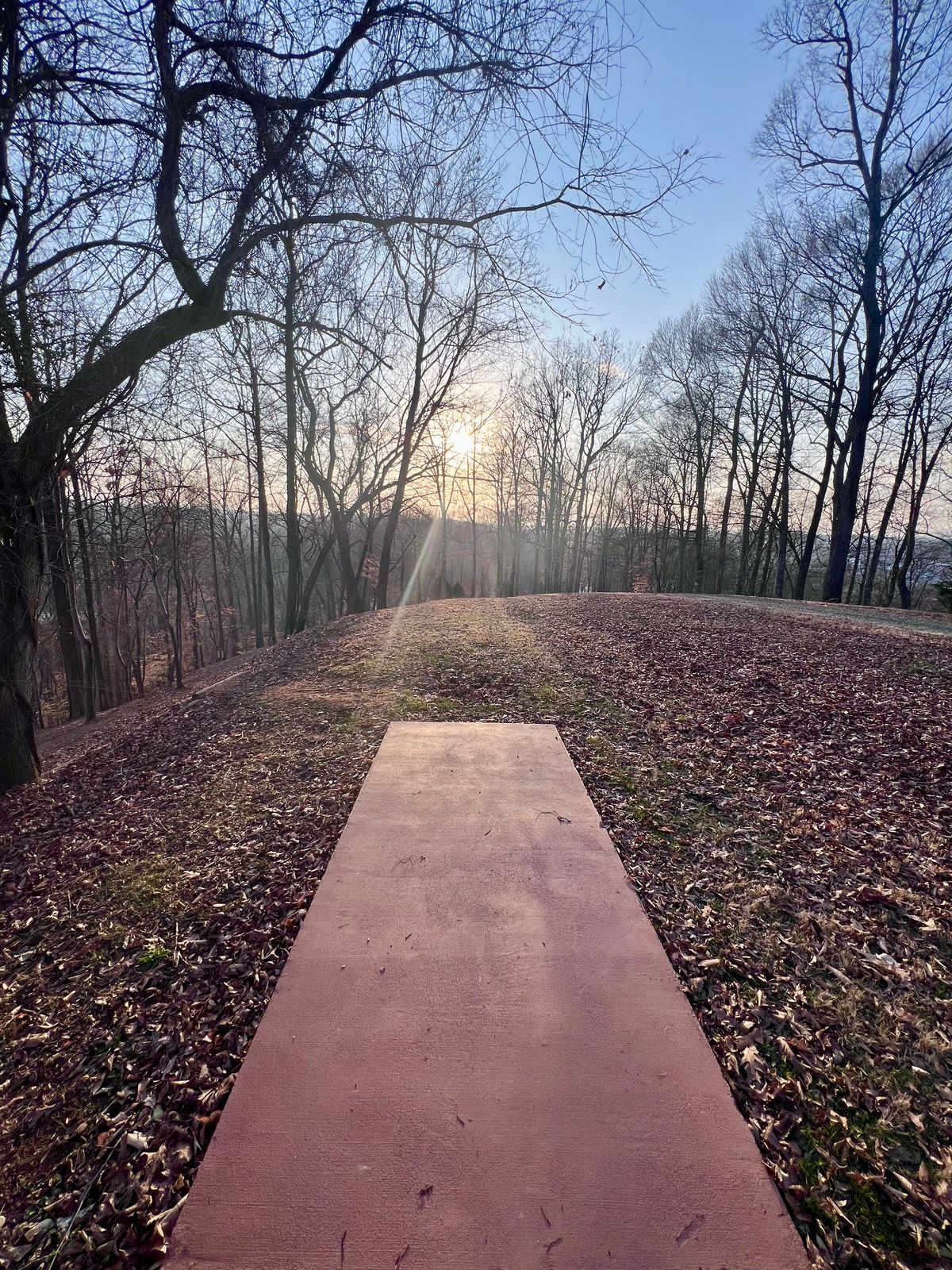 Hole 13 Gold Tee Pad/Fairway.