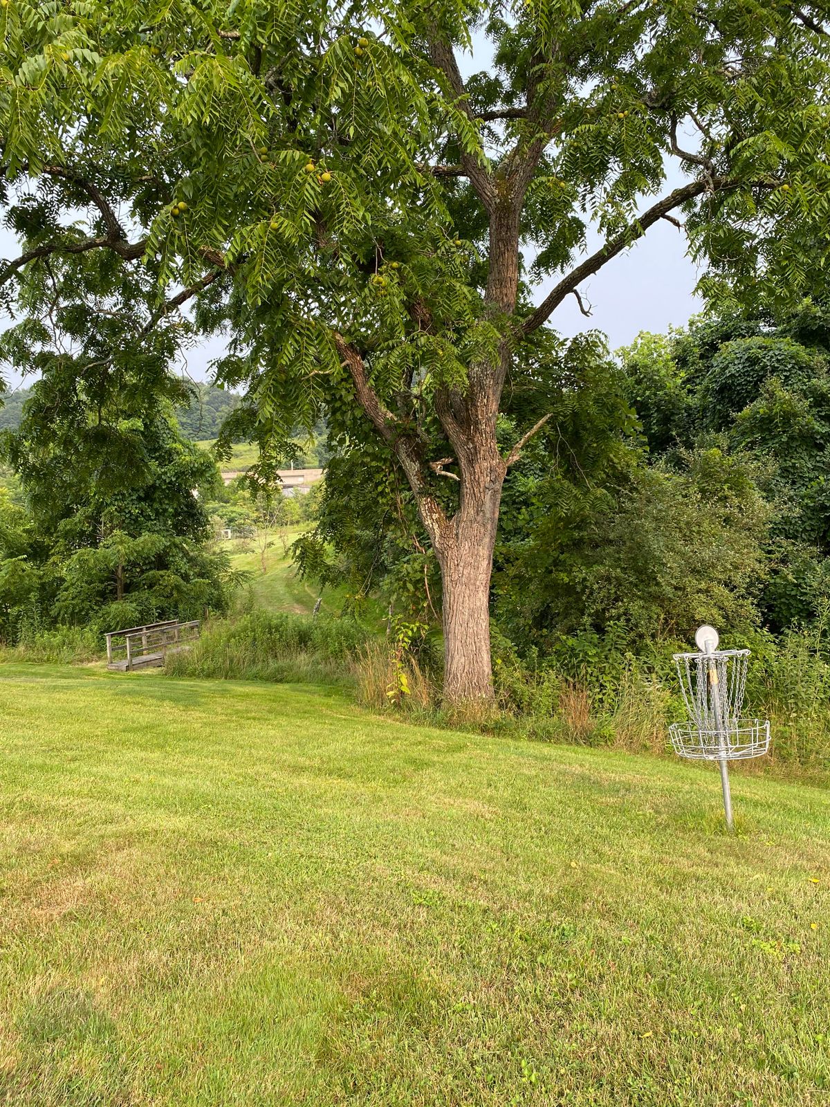 Hole 18 green