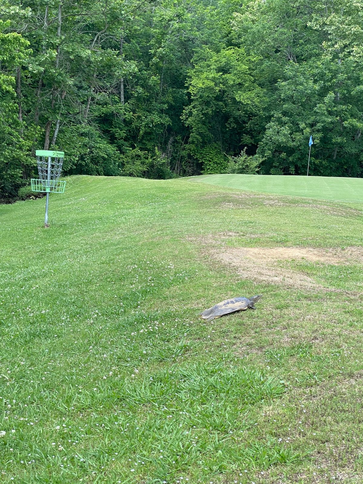 Hole 9 Basket