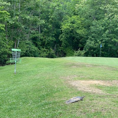 Hole 9 Basket