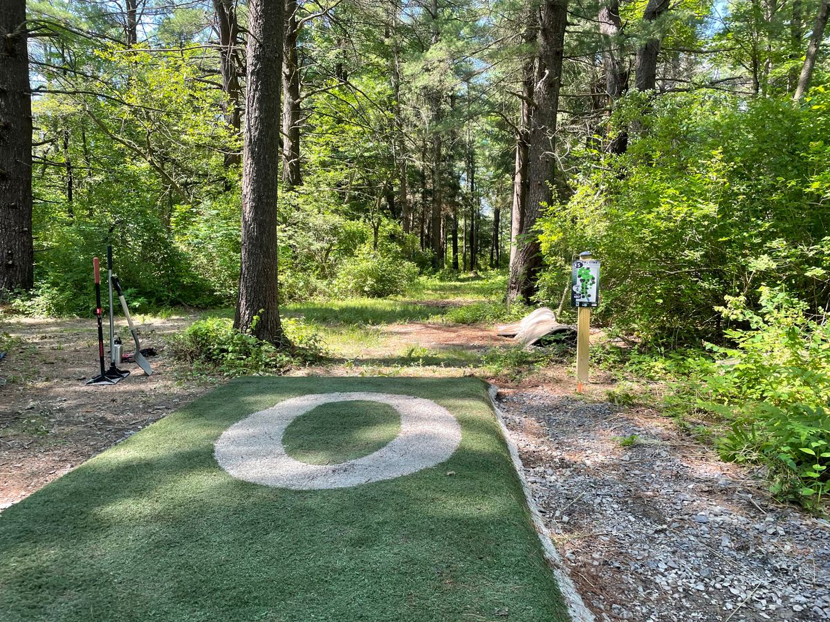 Hole 5, Blue (long) tee.