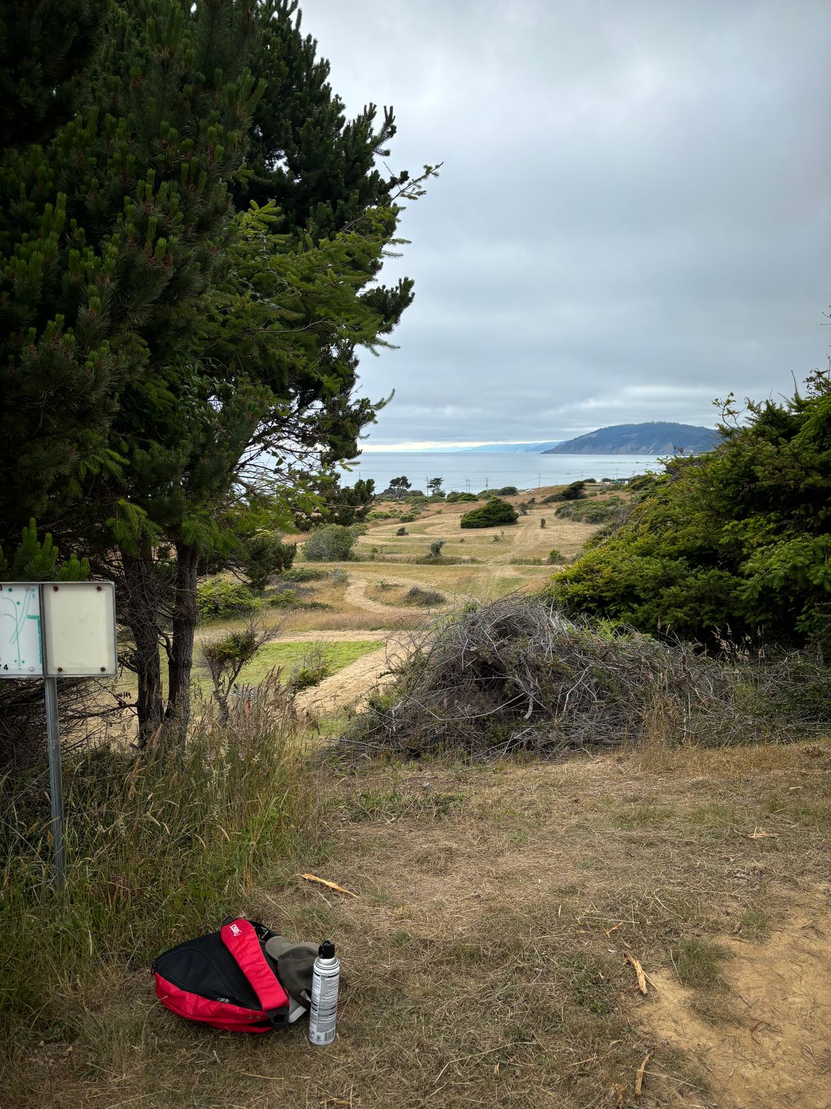 Hole 1 tee pad.  Practice basket right below.