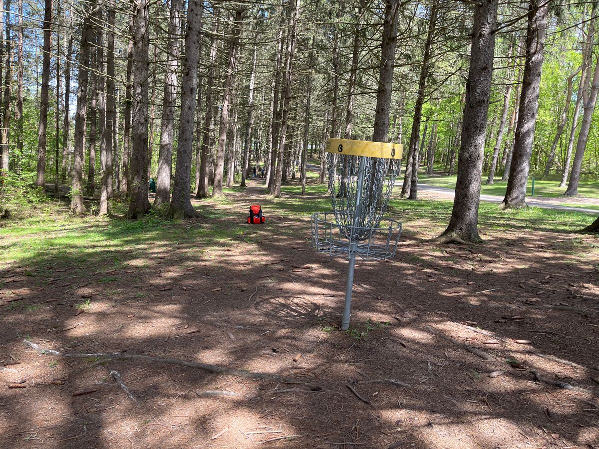 Hole 6 Basket to Tee
