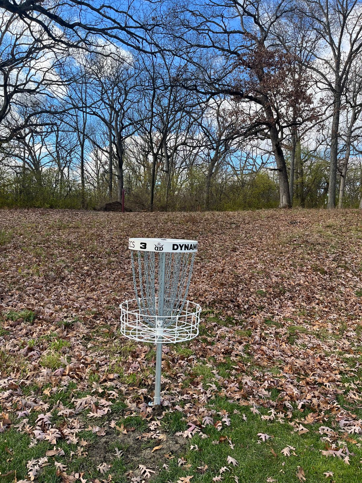Hole 3 Basket