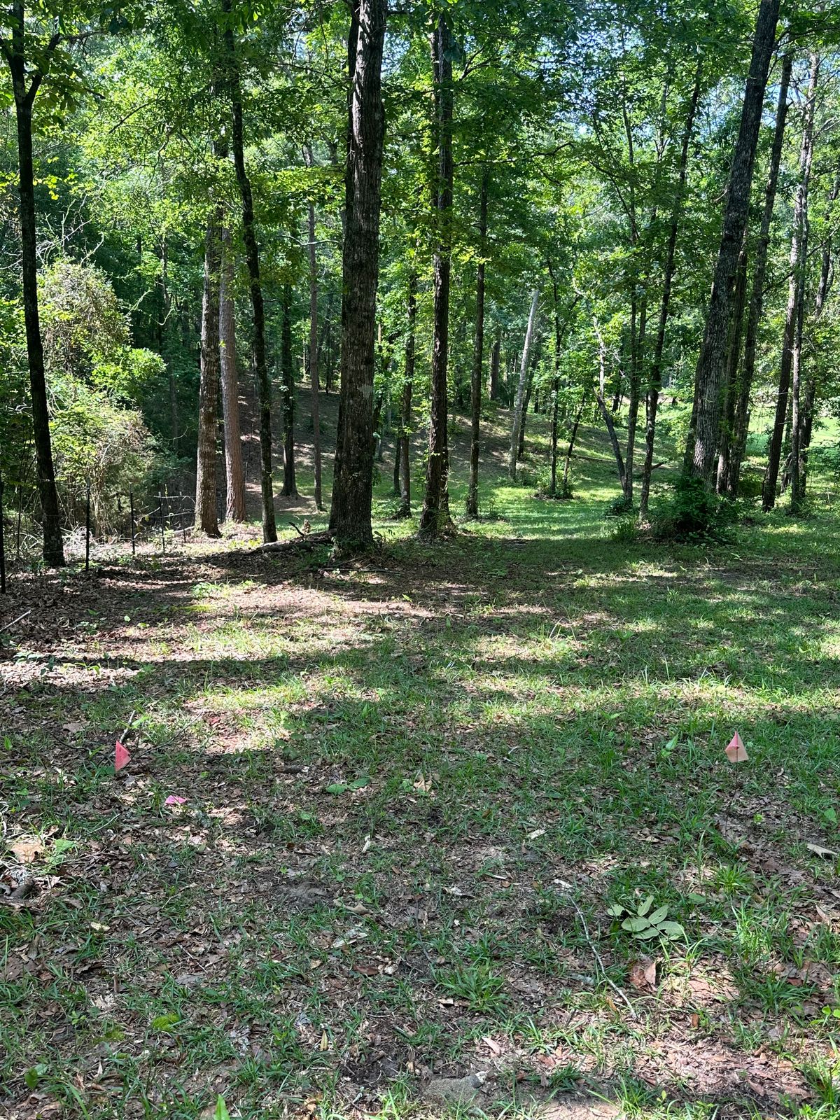 Hole 2 short and senior tee