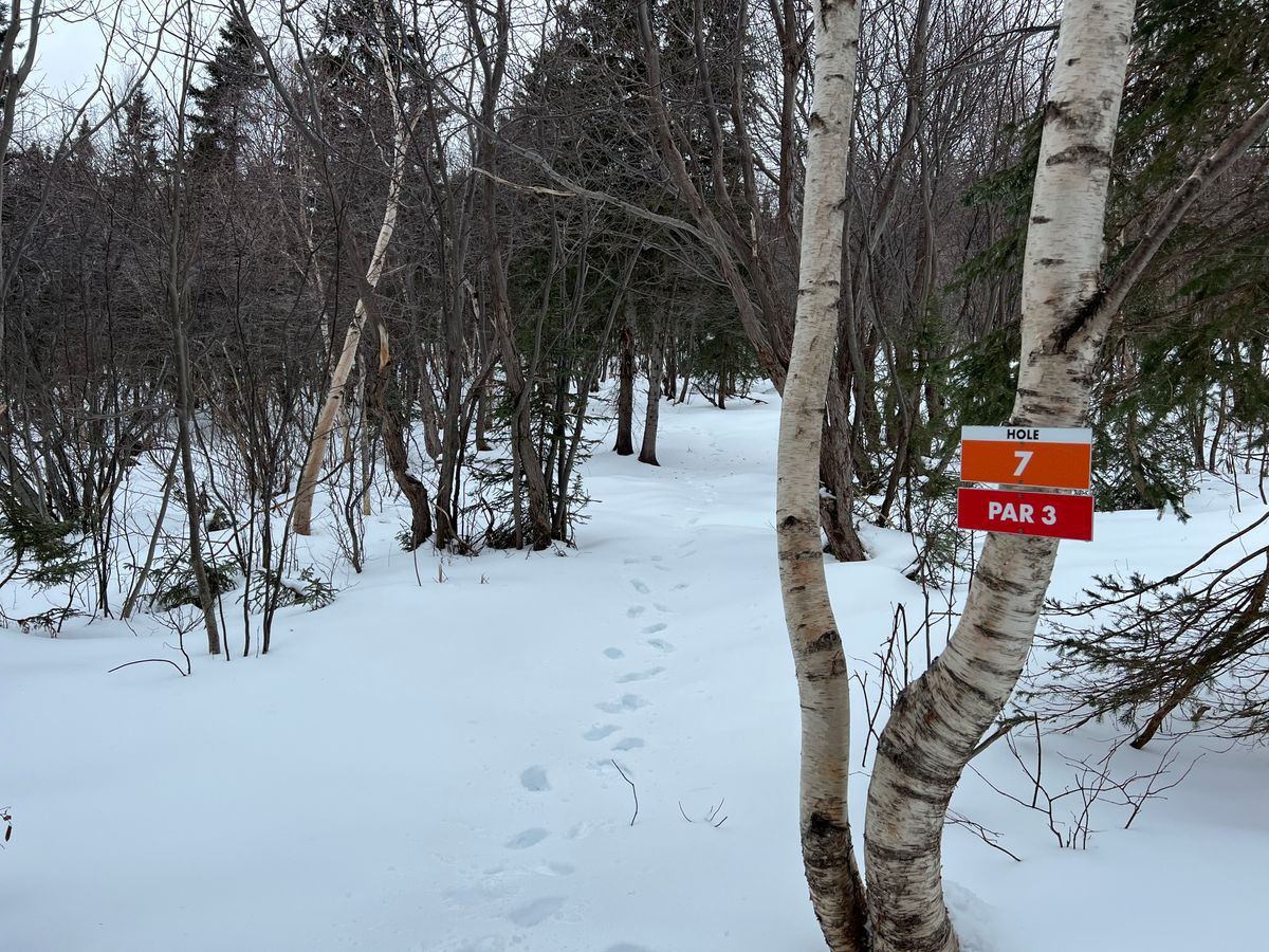 Hole 7