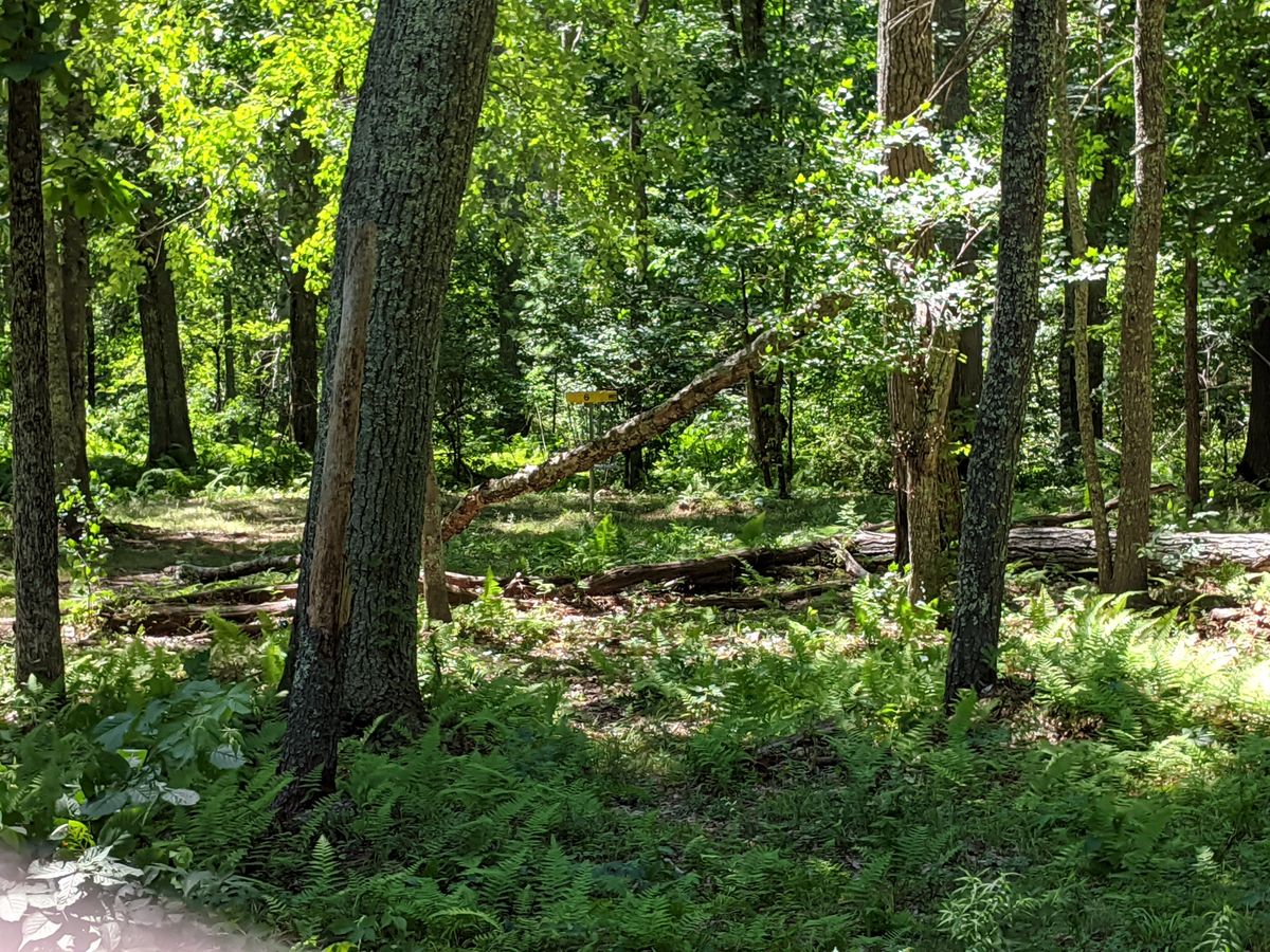 Hole 6