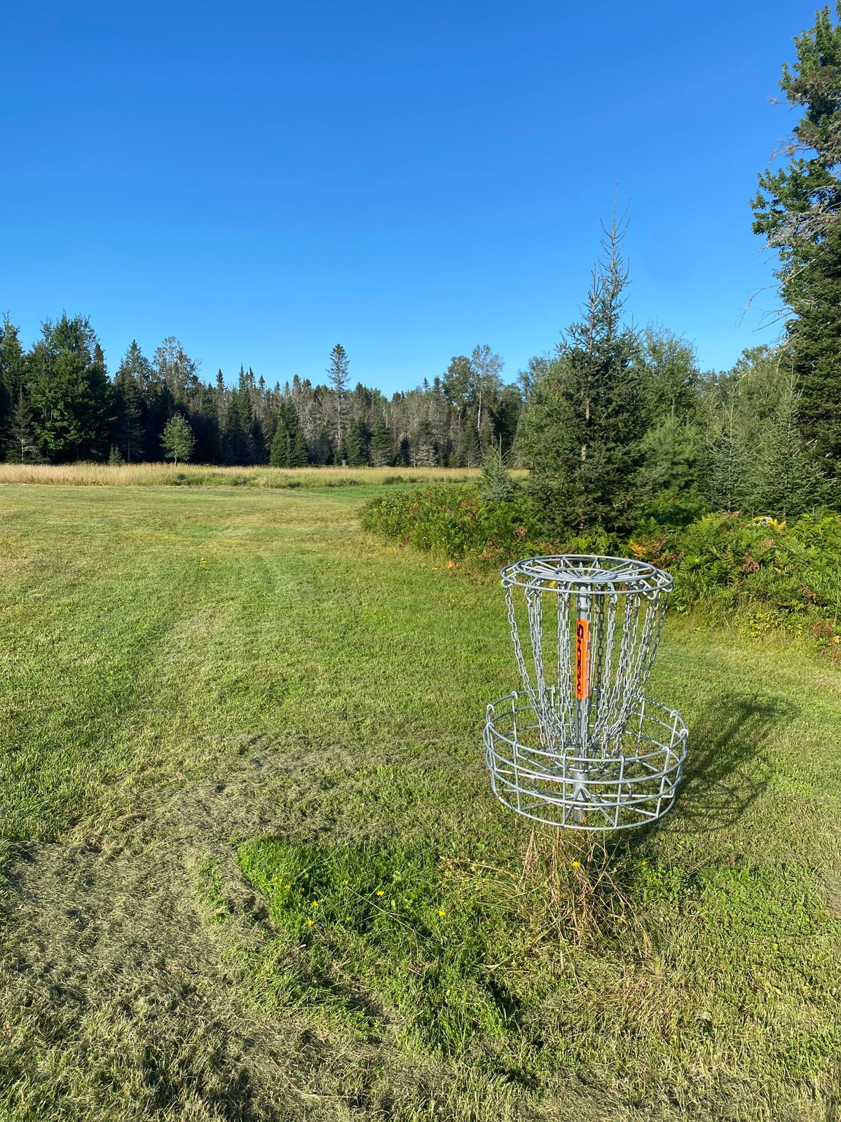 From behind the hole 6 basket.