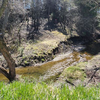 New hole 8 location.