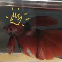 mellojello