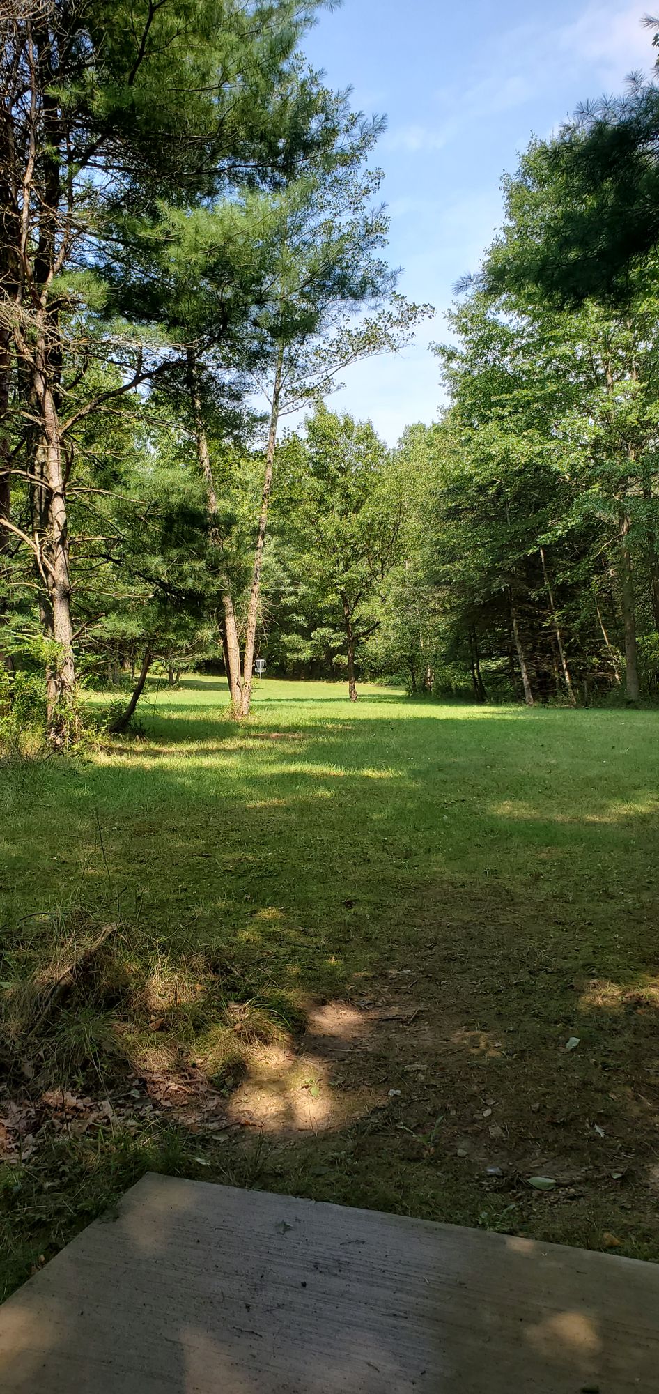 Hole 12
