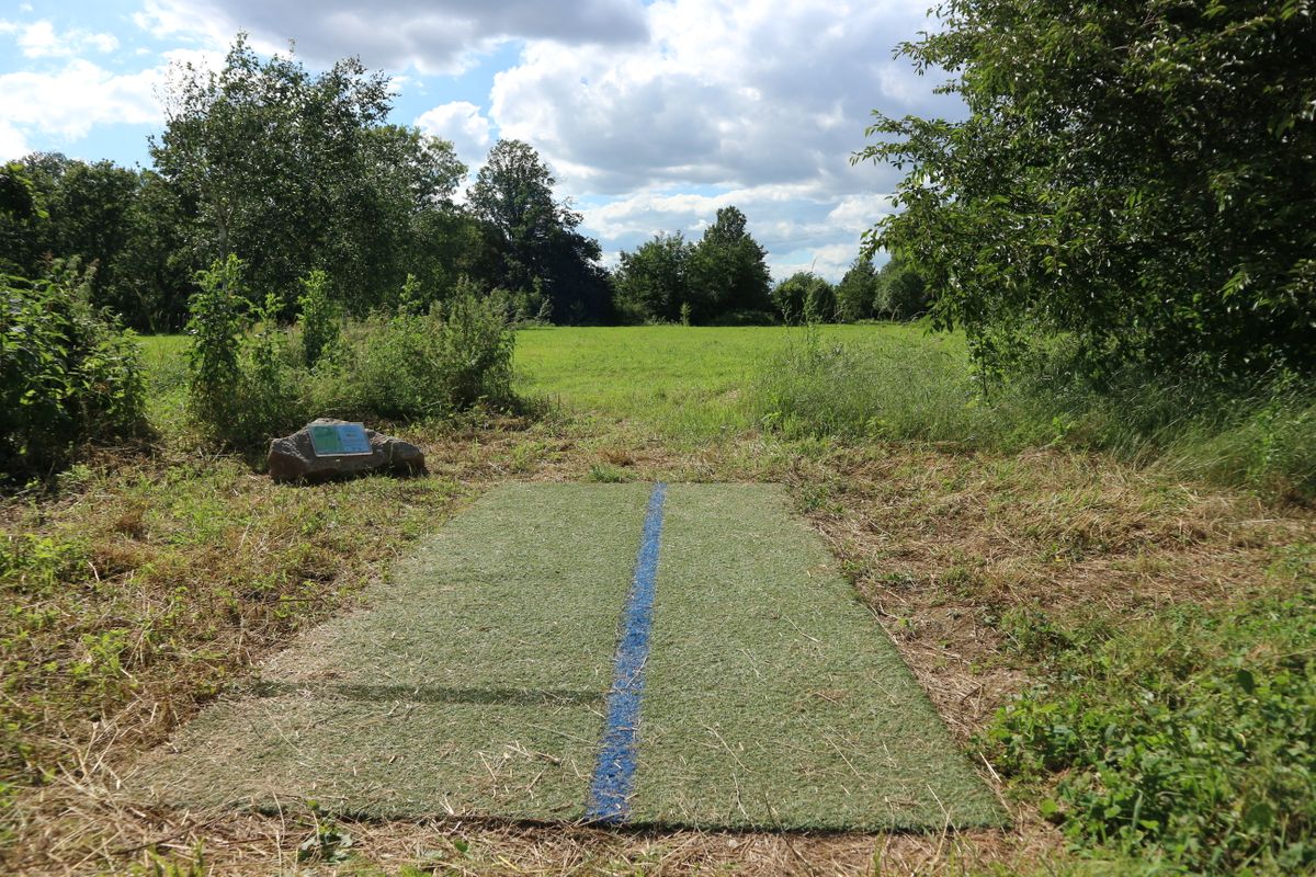 Tee from hole 4
