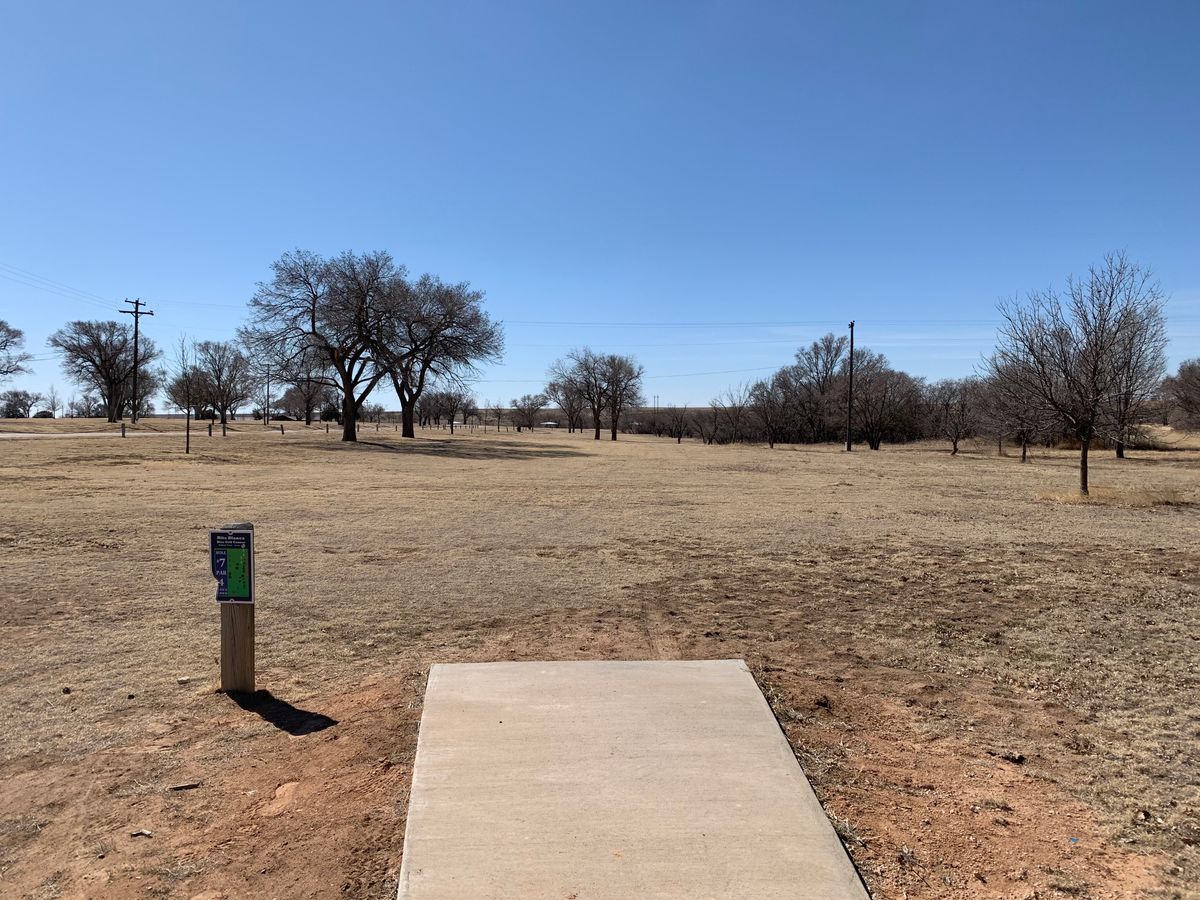 #7 Basket tucked mid right behind trees 2-28-20