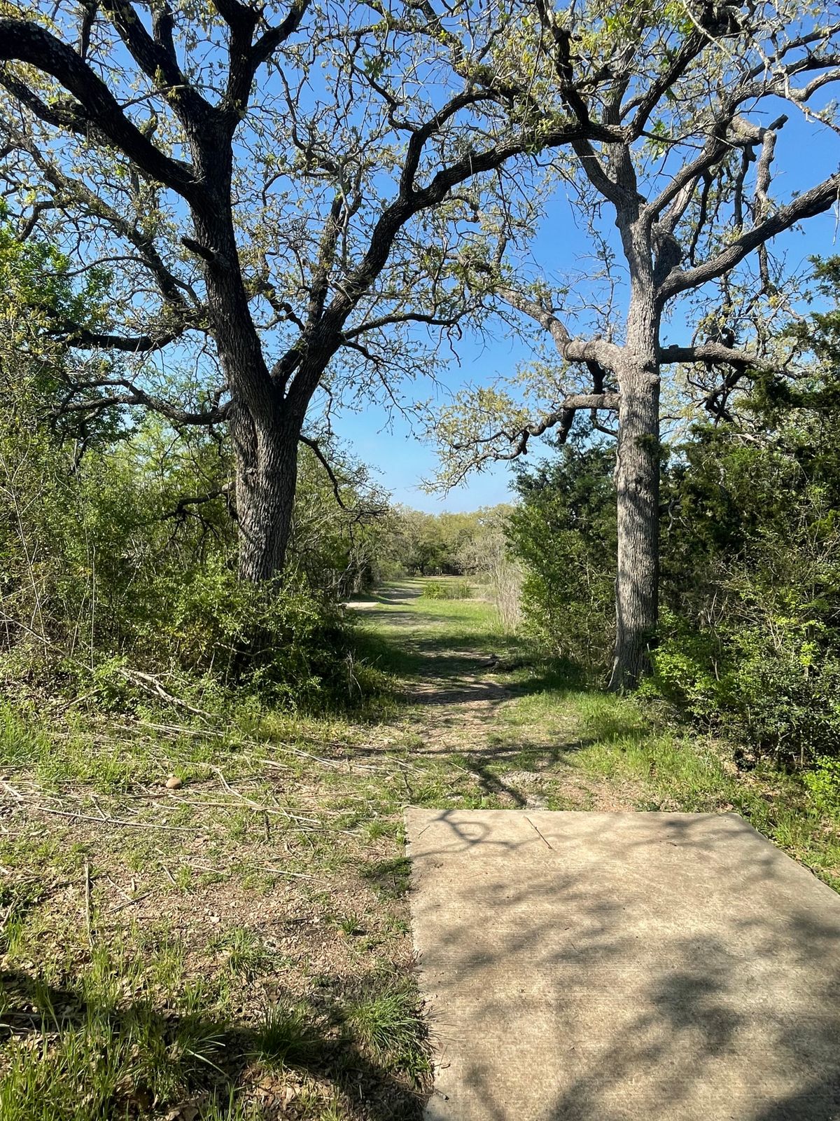 Hole 16 long box