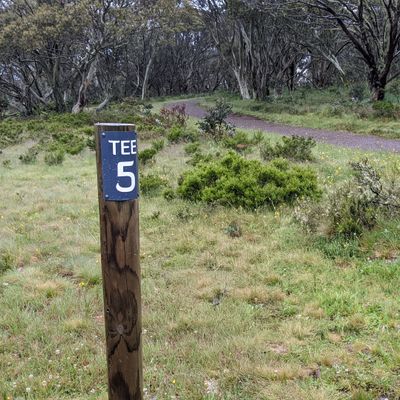 Fifth hole follows the trail as it curves to the right