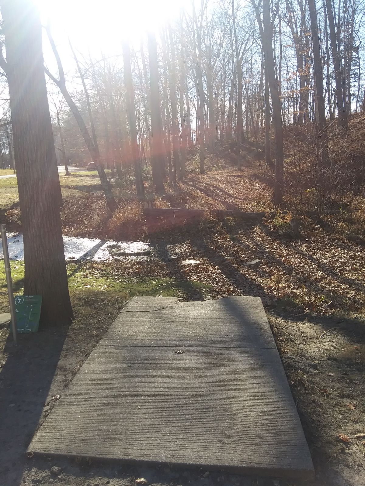 Hole 7 from tee