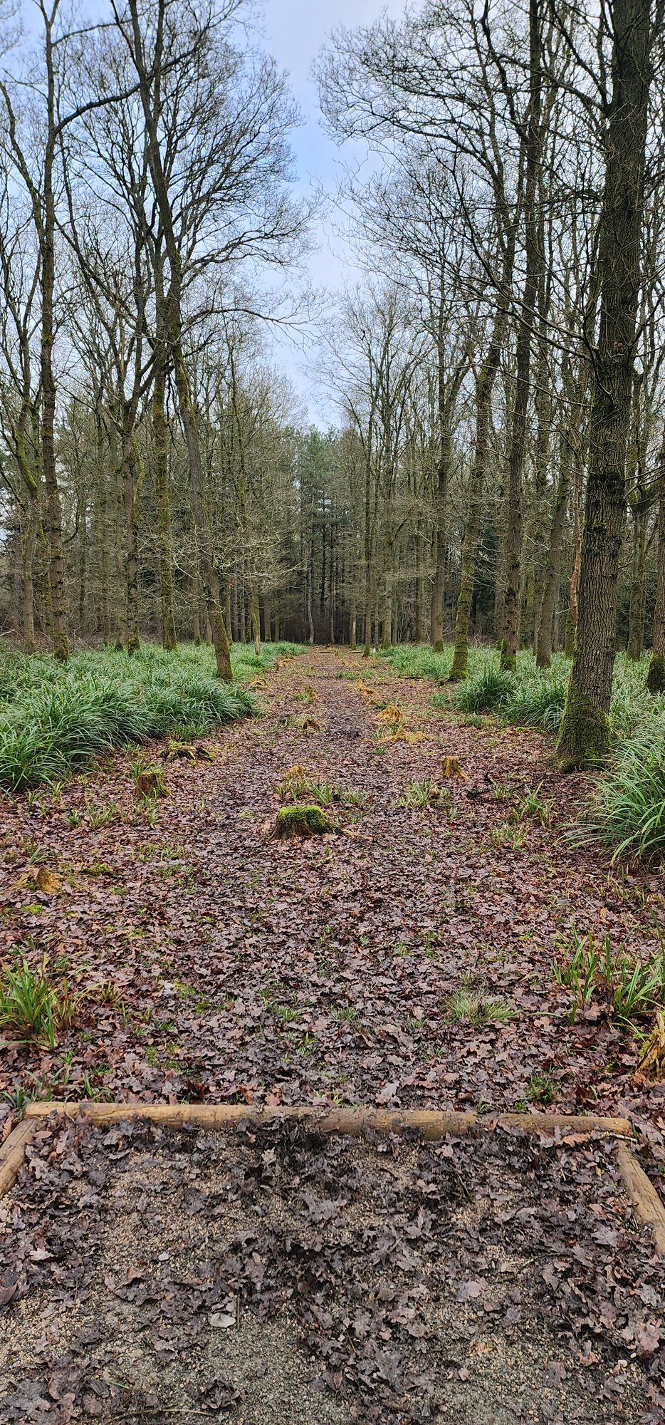Hole #8 (Winter)