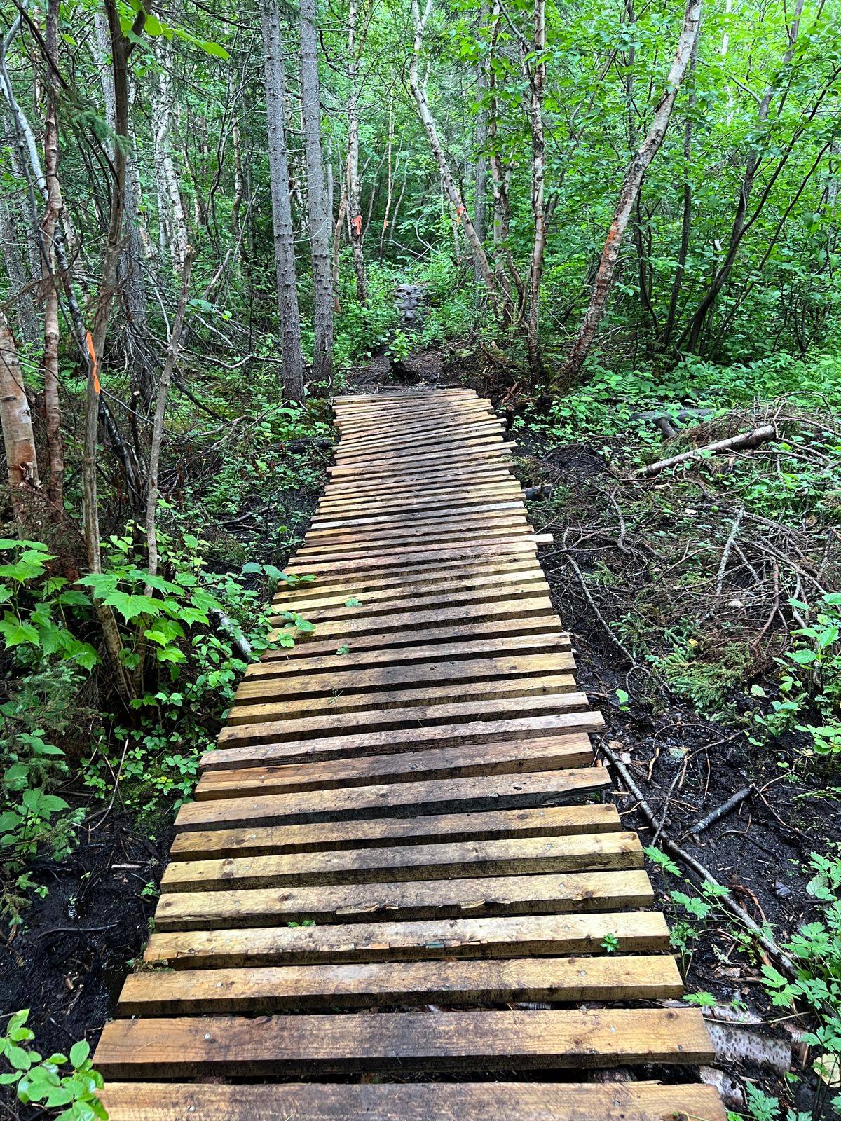 There is a 350 m path to hole 7. It has some boardwalk sections, but can get quite muddy.