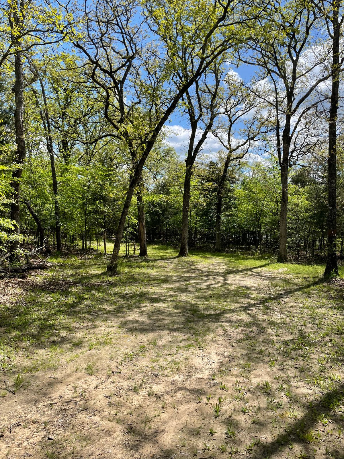 #5 short tee